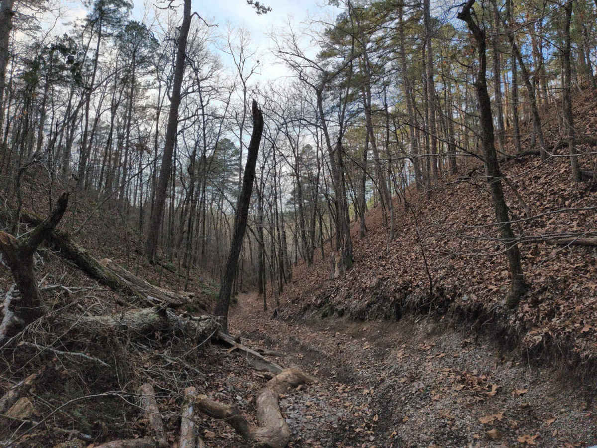 A26 Sardine Ravine photo 4