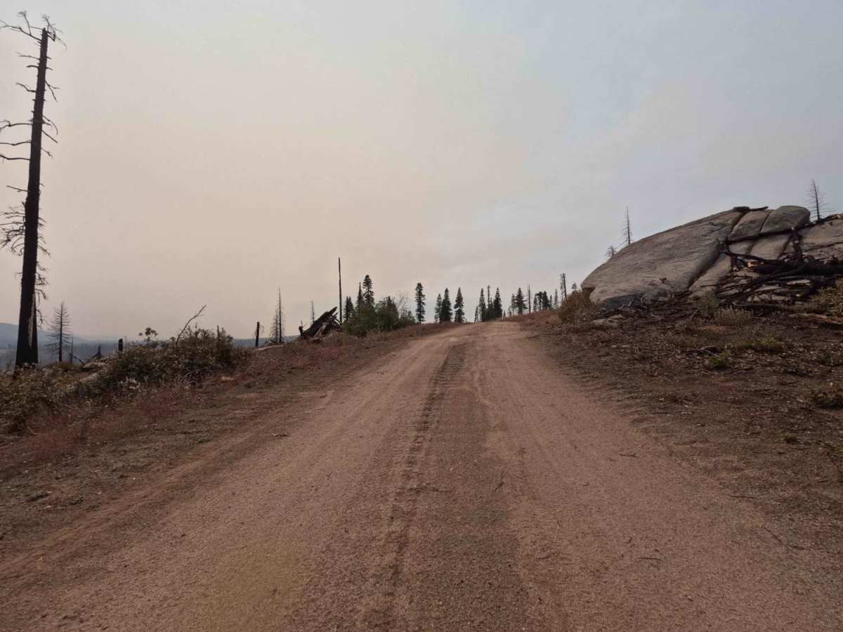 Upper Tamarack Mountain - FS 9s028 trail photo