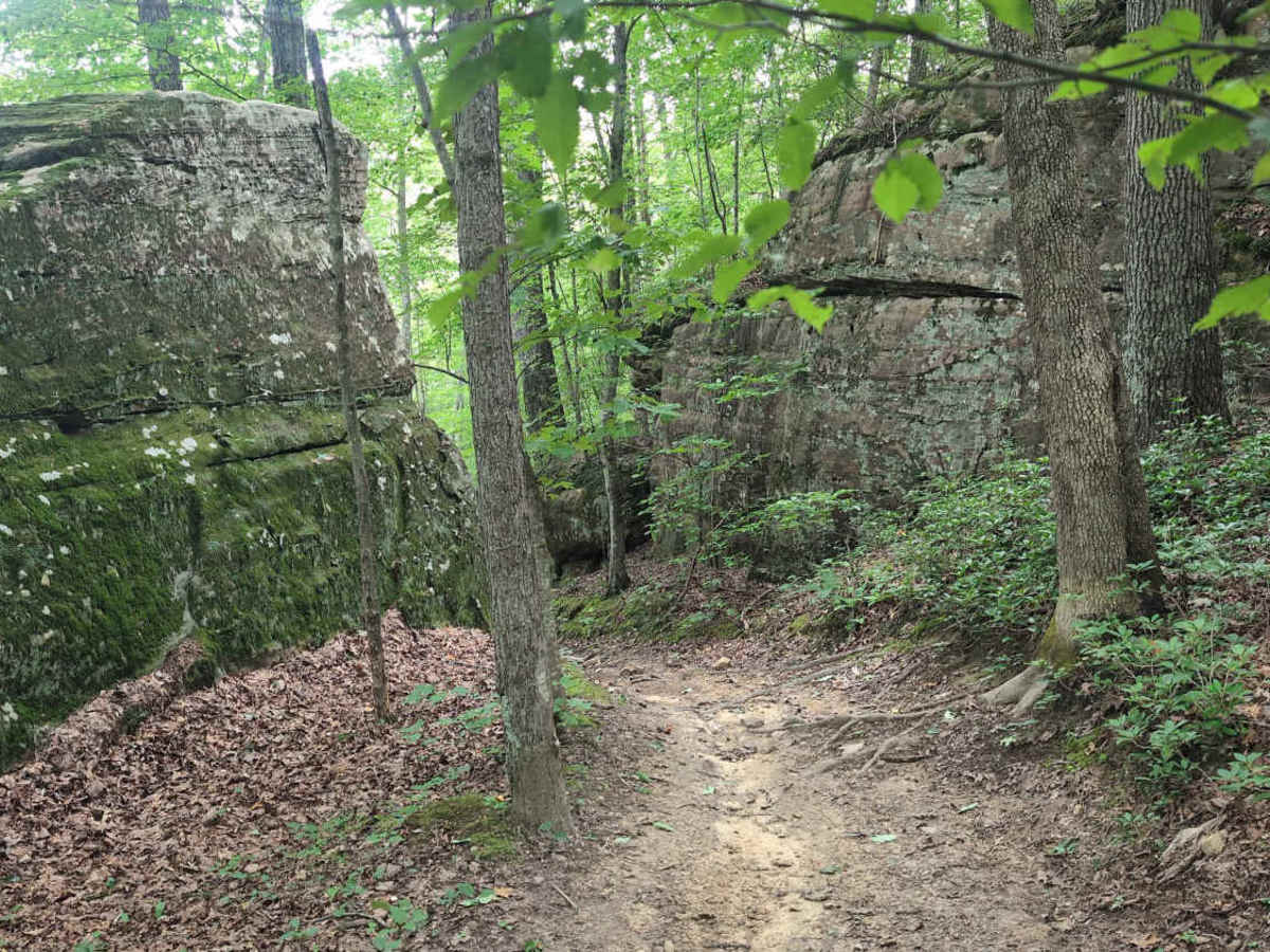 Sheltowee Trace Single Track - FS 100 trail photo