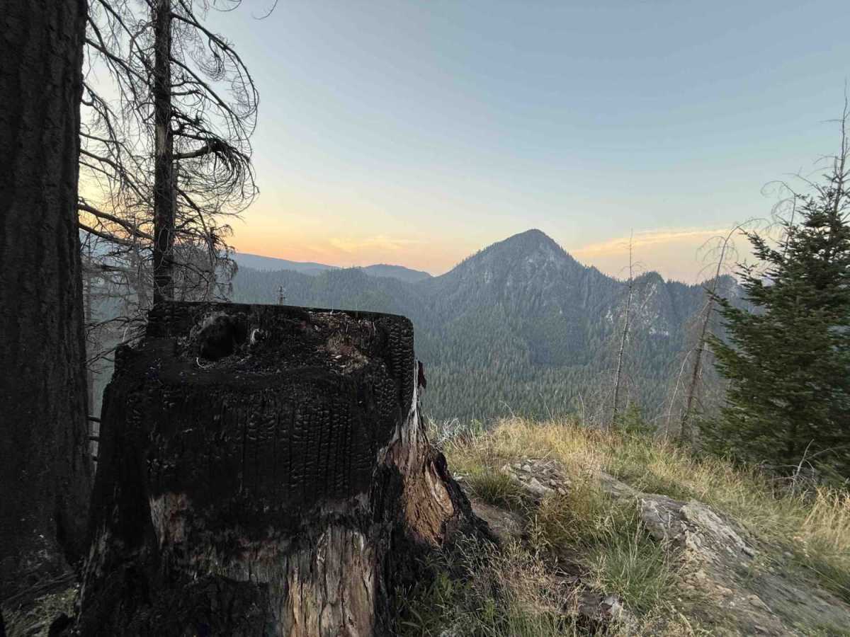 Goon - FS 8122161 trail photo