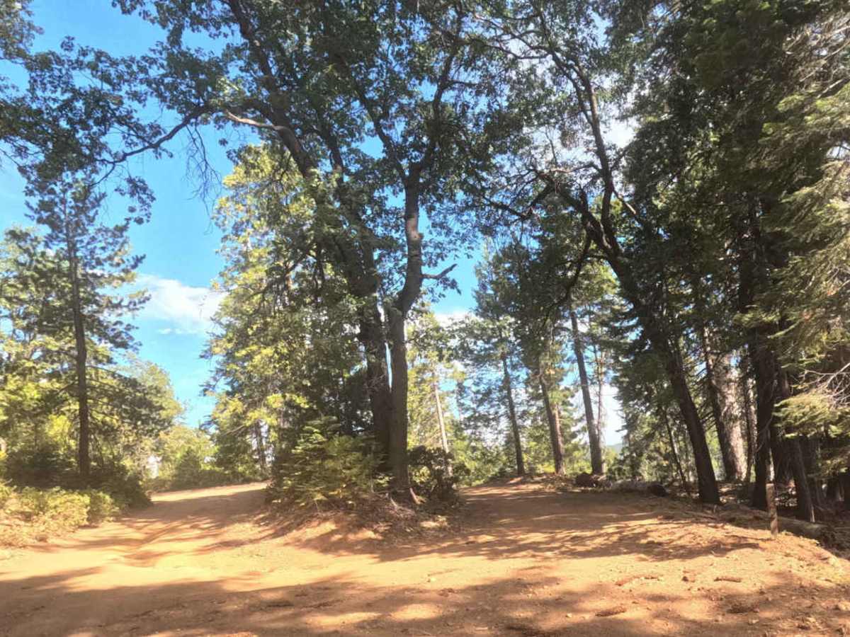 Ten Mile Grade C Spur - FS 4S004C photo 2