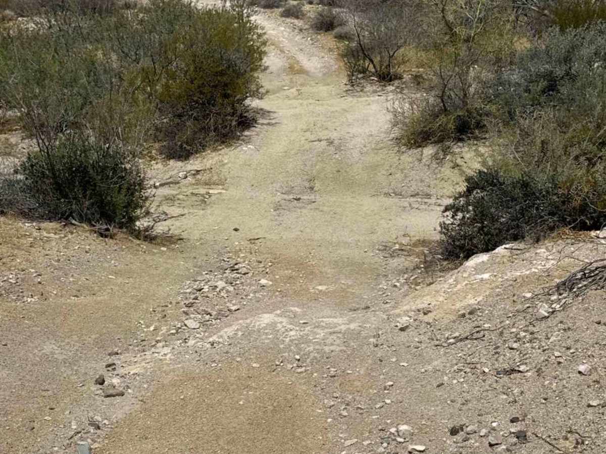 Lost Beauty photo 2
