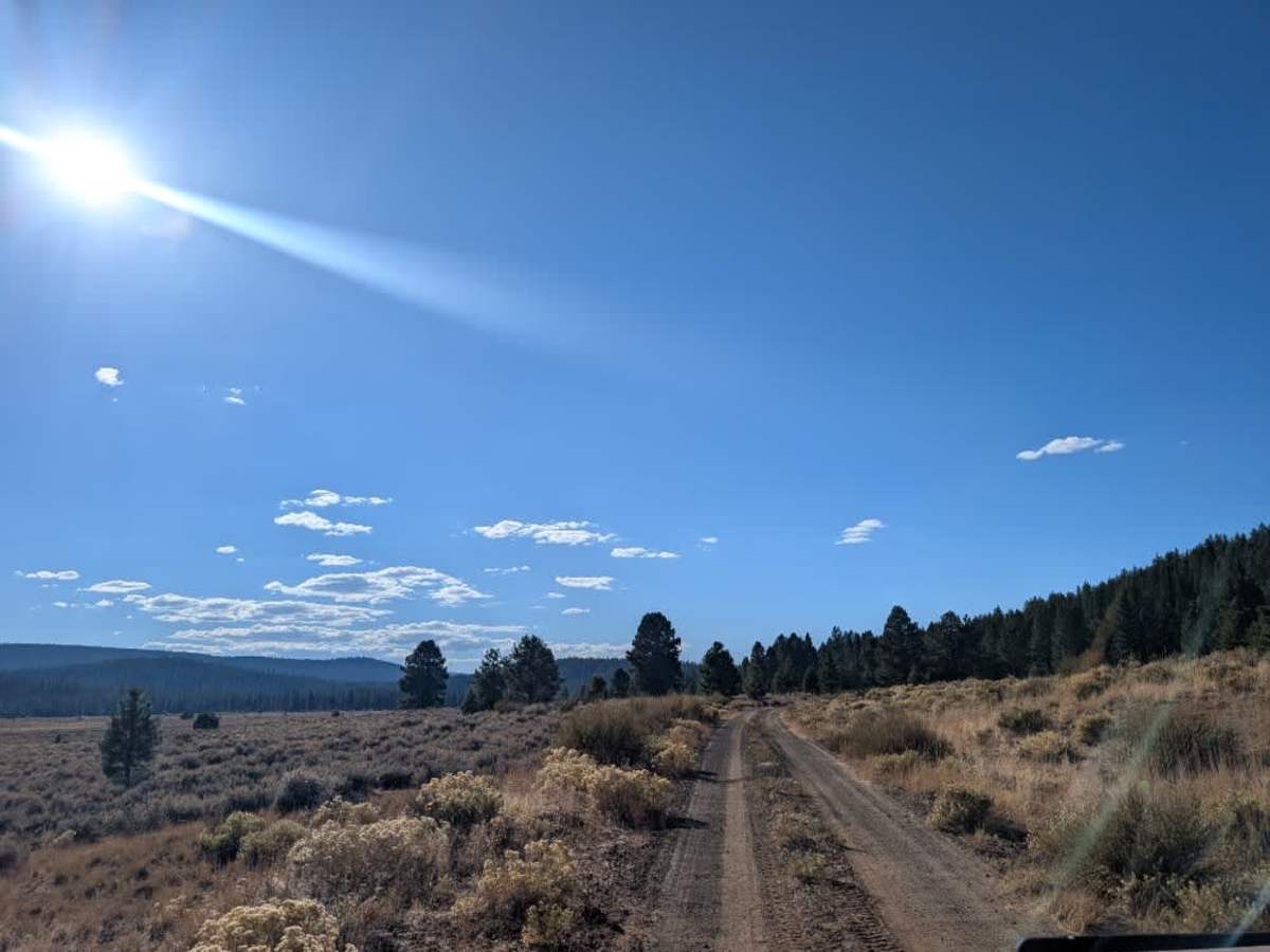 FS 33N93 trail photo