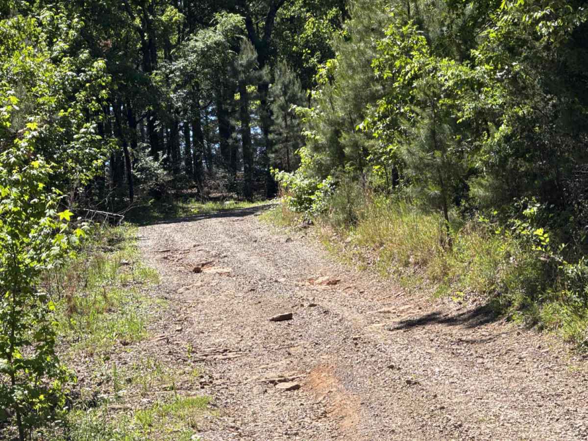 Elmo Creek photo 2
