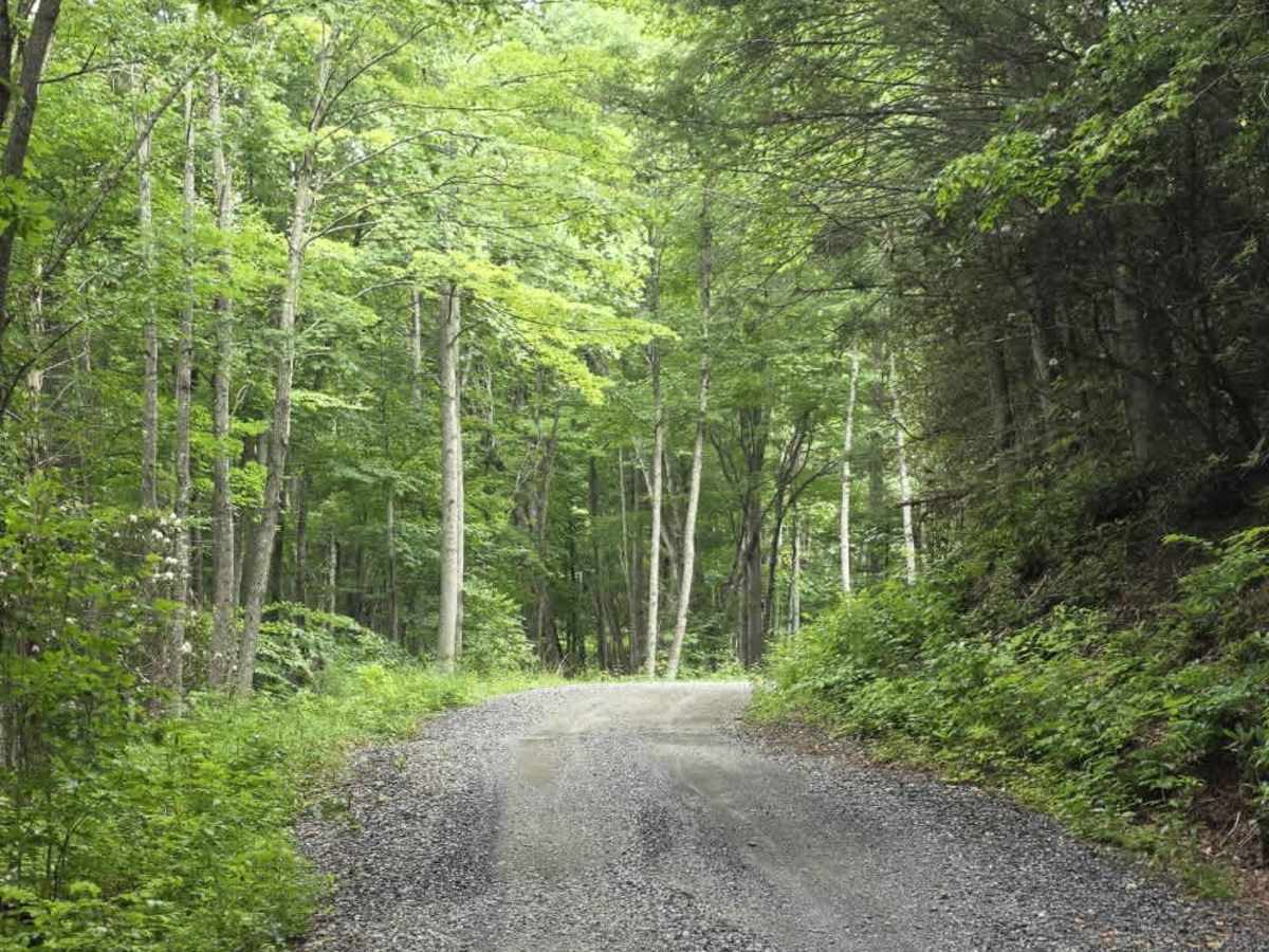 Chestnut Ridge Road photo 6