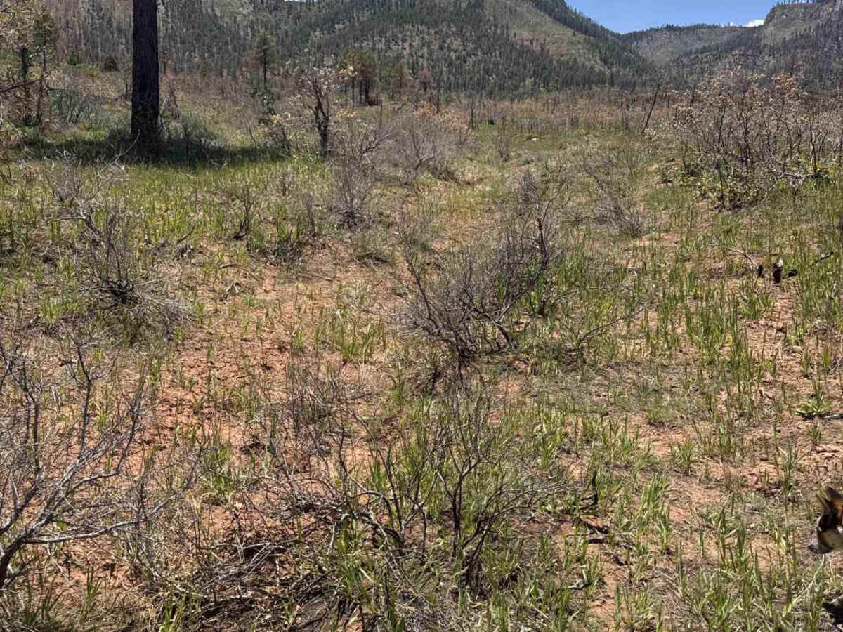 Wildlife Water Loop trail photo