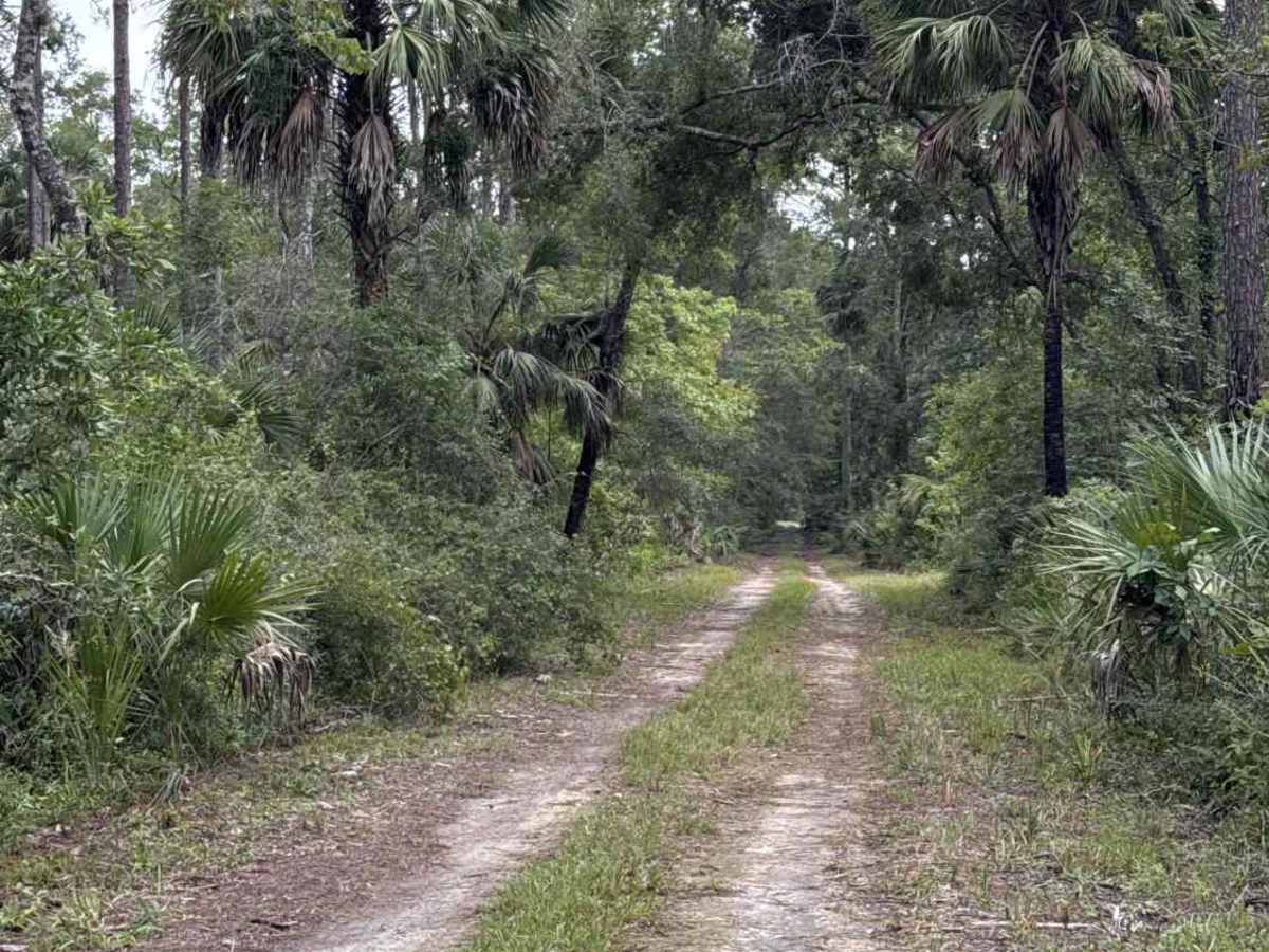 Gate 10 Road trail photo