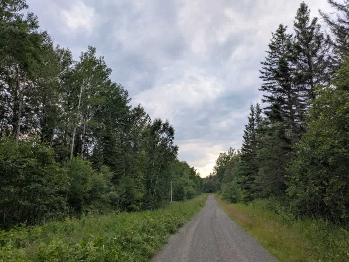 Otter Lake photo 3