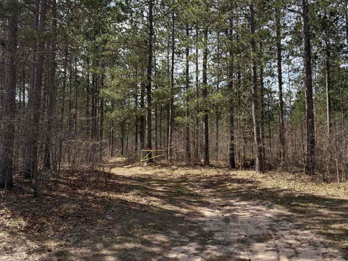 Artillery  trail photo