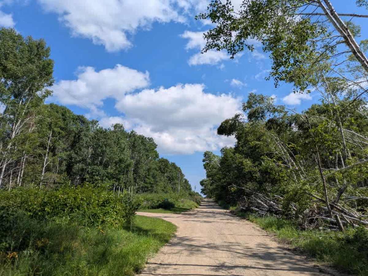 Cass River Road Southeast photo 5