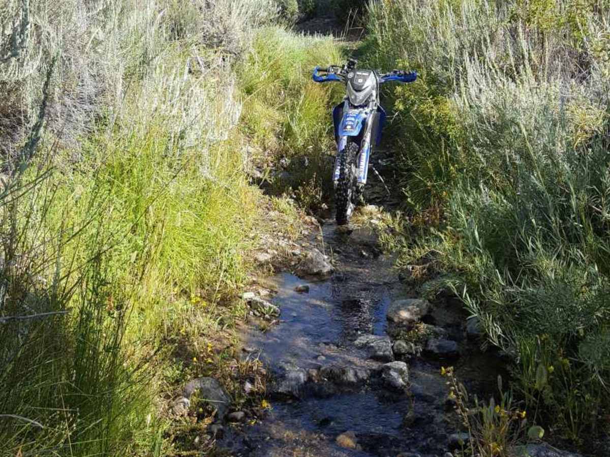 Yellowjacket OHV Trail - FS 20W24 photo 6
