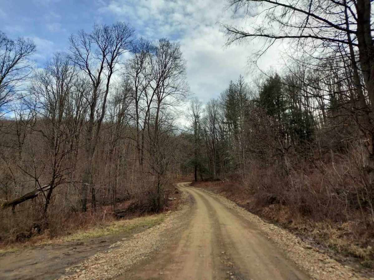 West Hicks Run Road photo 3