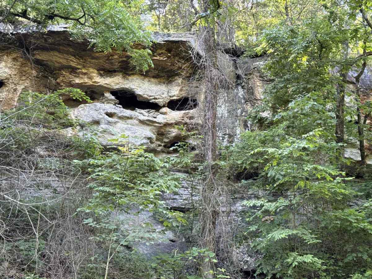 Cove Creek Crossing  photo 4