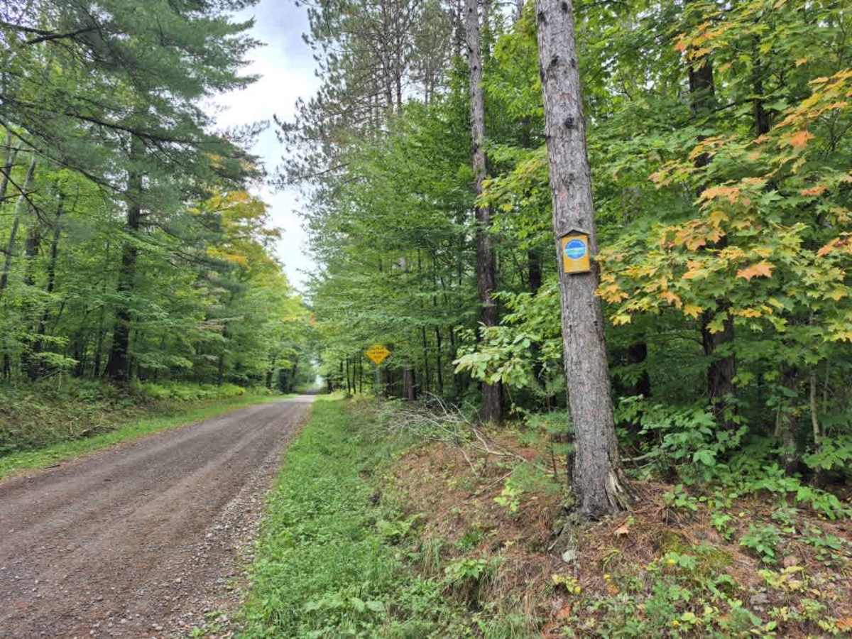 Bower Road trail photo
