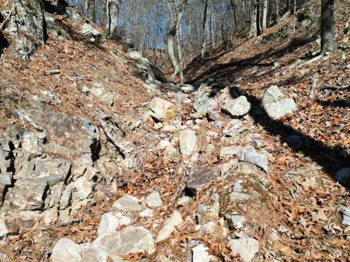 E1 Too Easy trail photo
