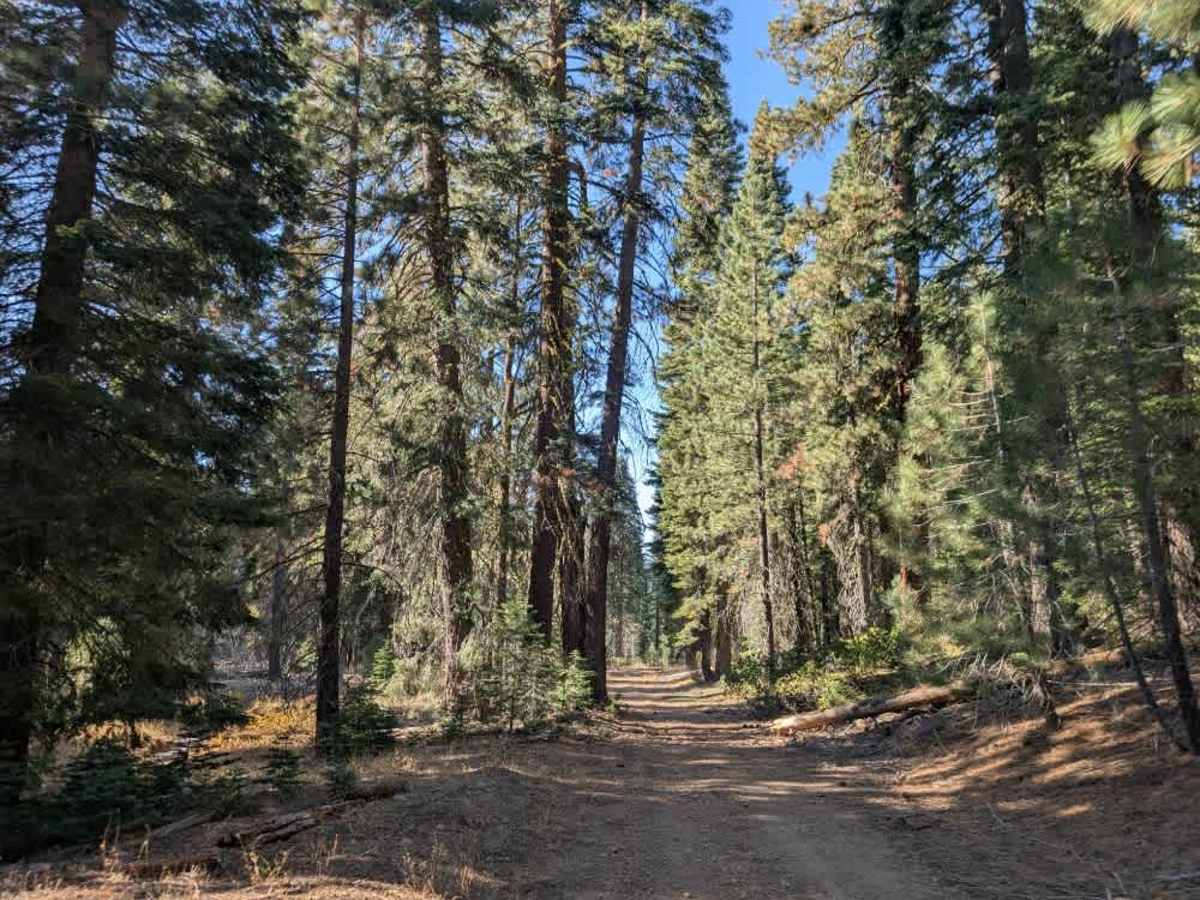 Willow Creek Road  photo 6