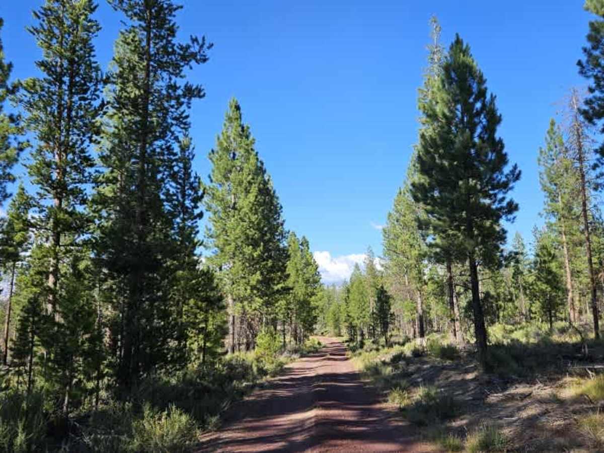 FS 7644000 trail photo