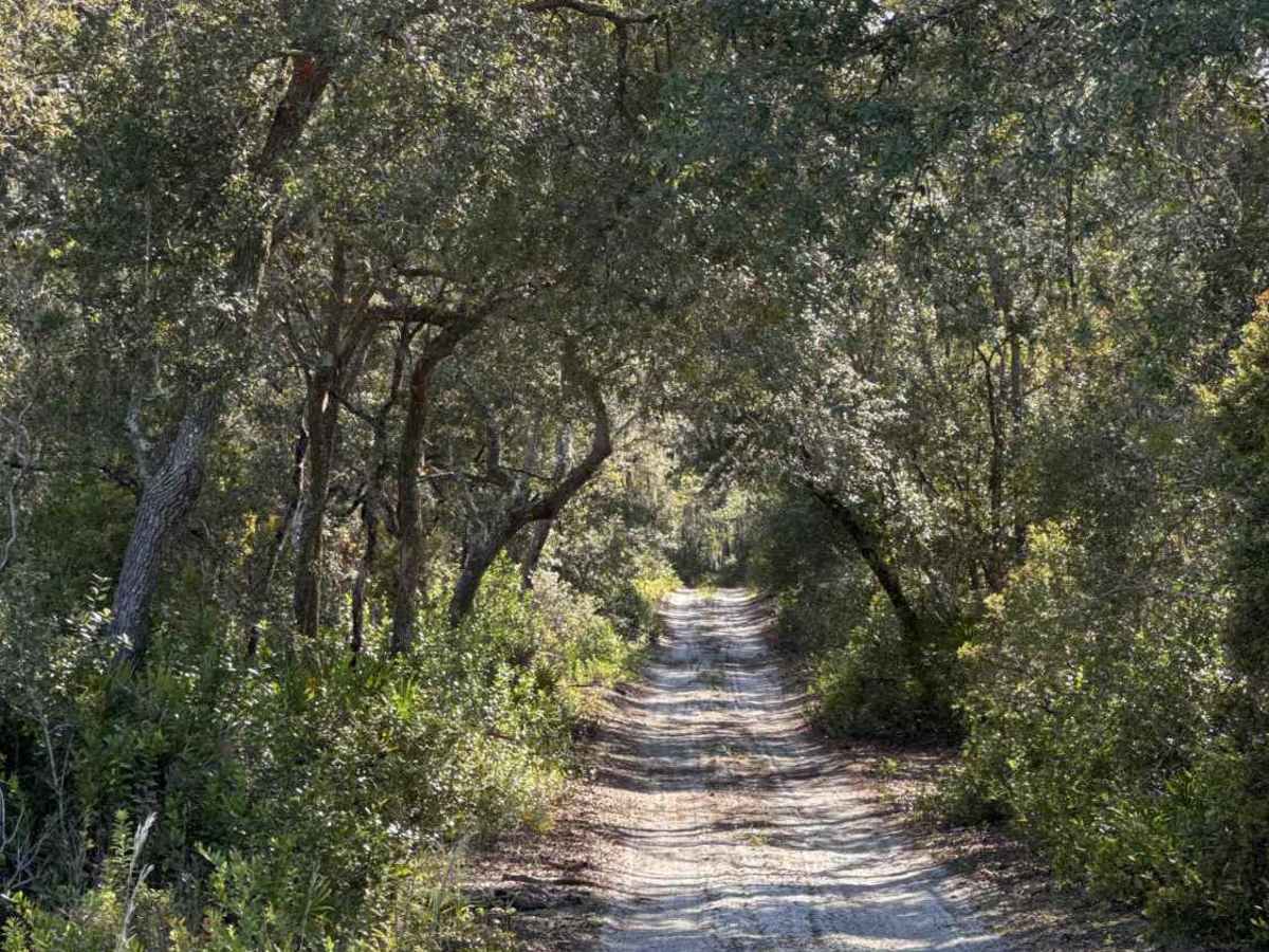 Cemetery Road trail photo