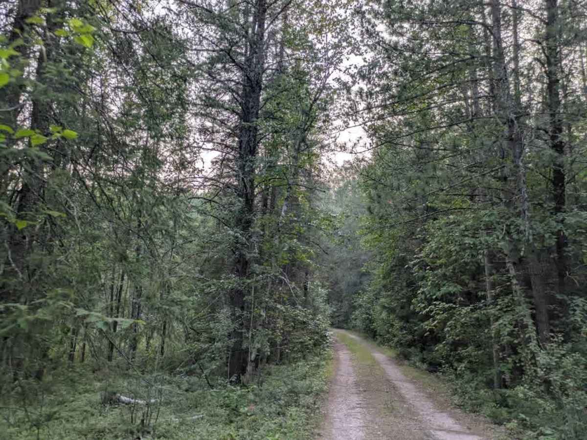 Picket River photo 6
