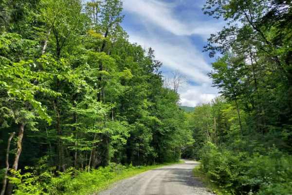 Curtis Hollow Road