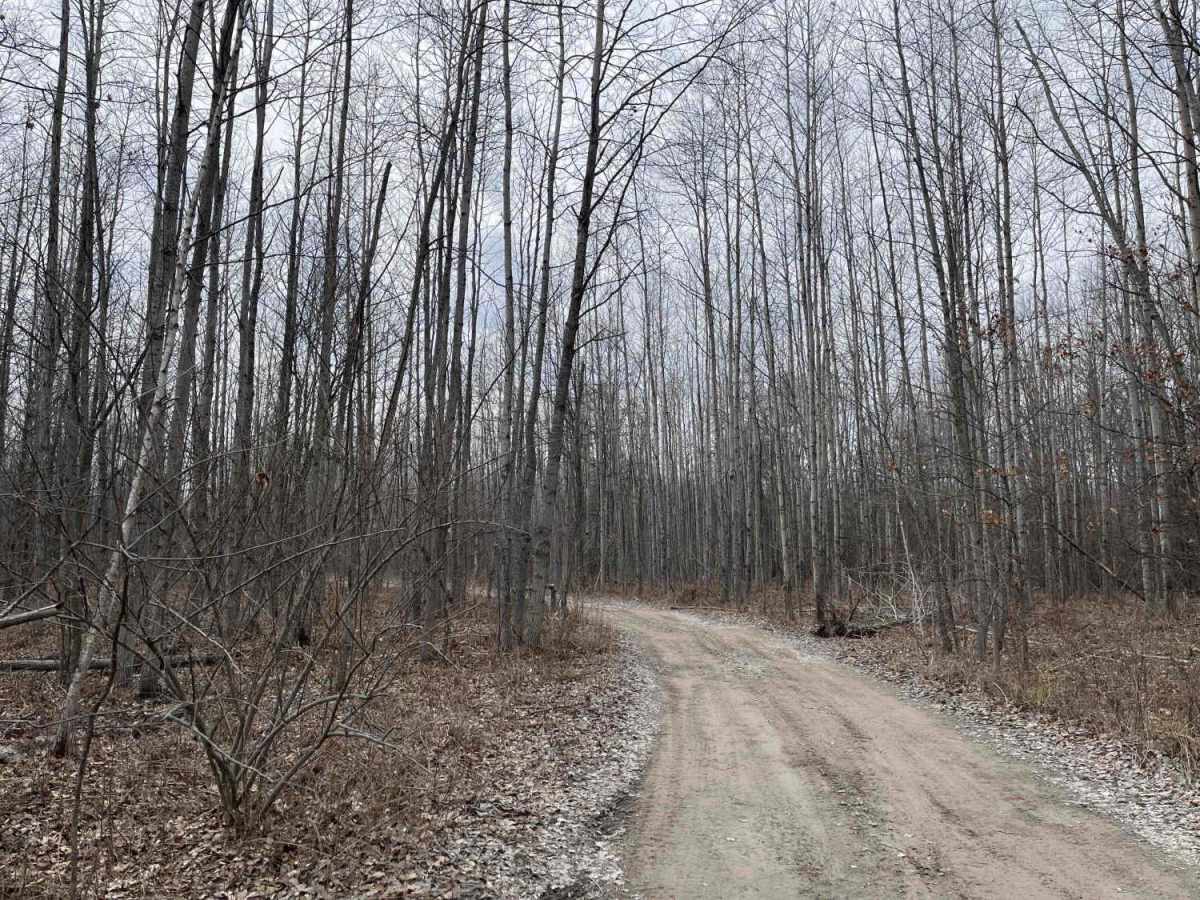 West Isabella Bypass trail photo