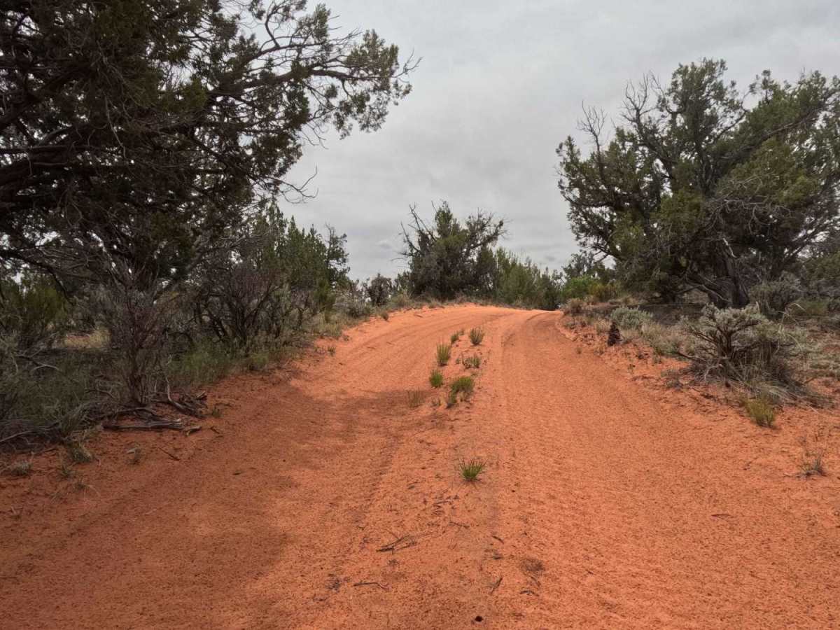 BLM 61H photo 4