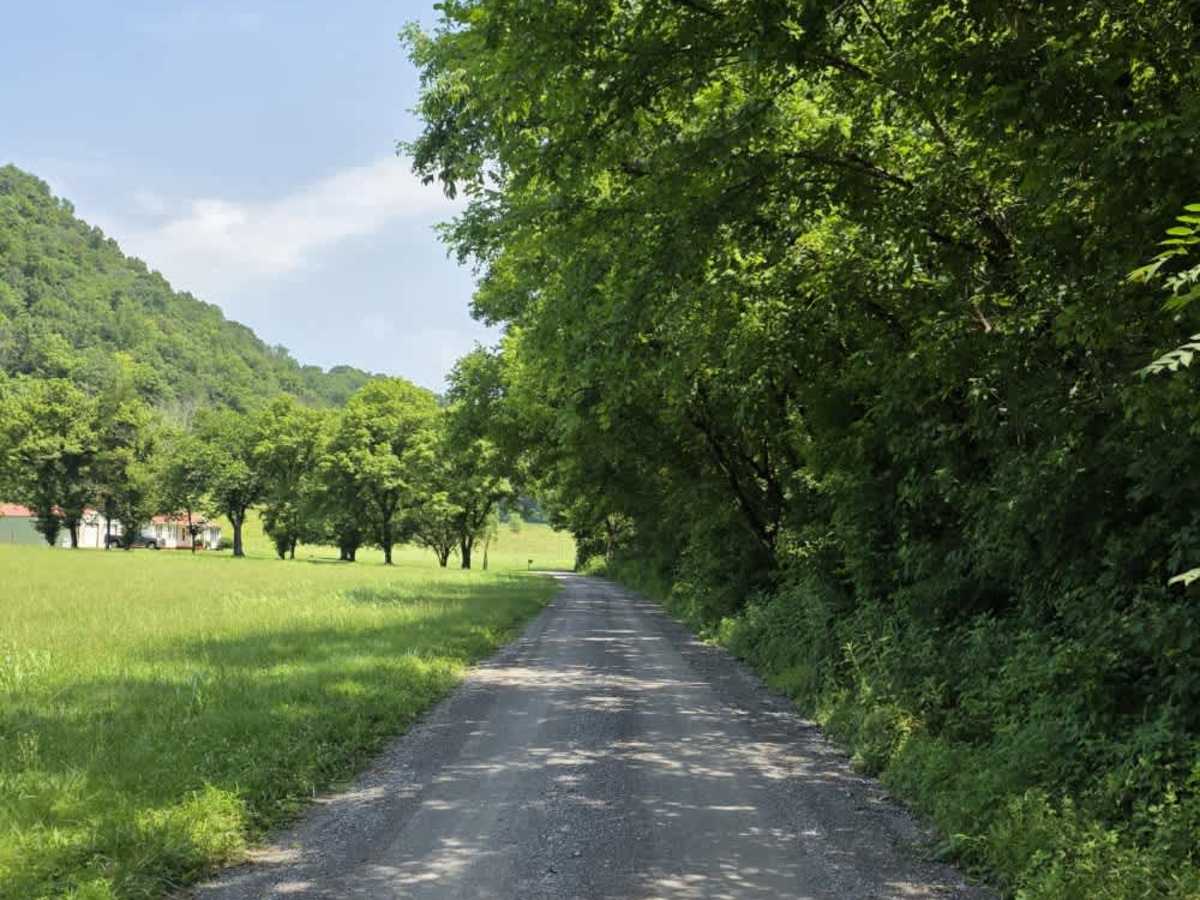 Wilmore Hollow Road - Macon County Tour photo 3