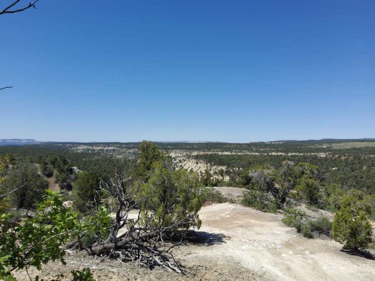 BLM 71 trail photo