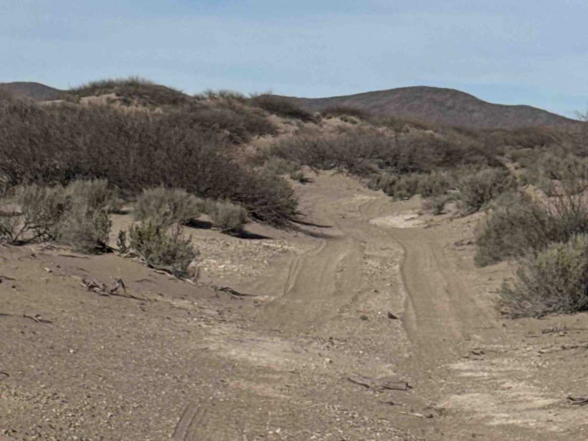 Ss1104 photo 3