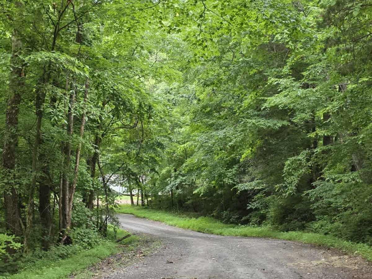 Shockley Hill Road - Macon County Tour photo 5