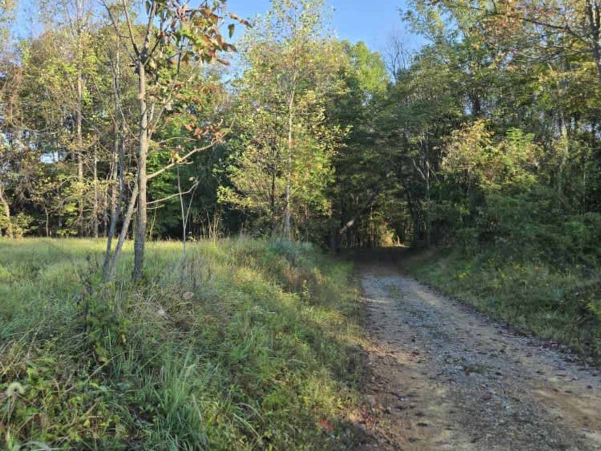 Real Ridge Road photo 4