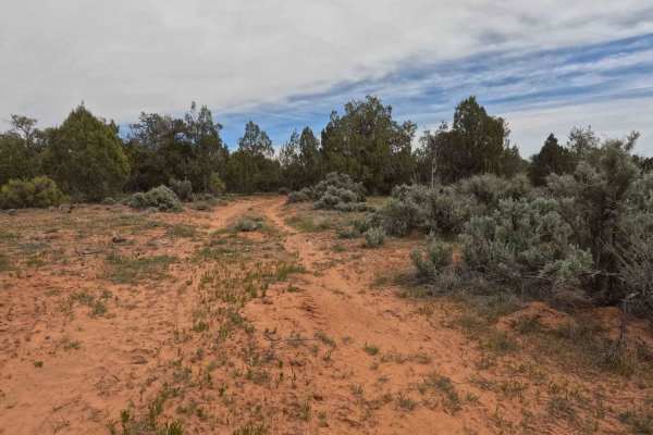 State Lands Spur - BLM 74 