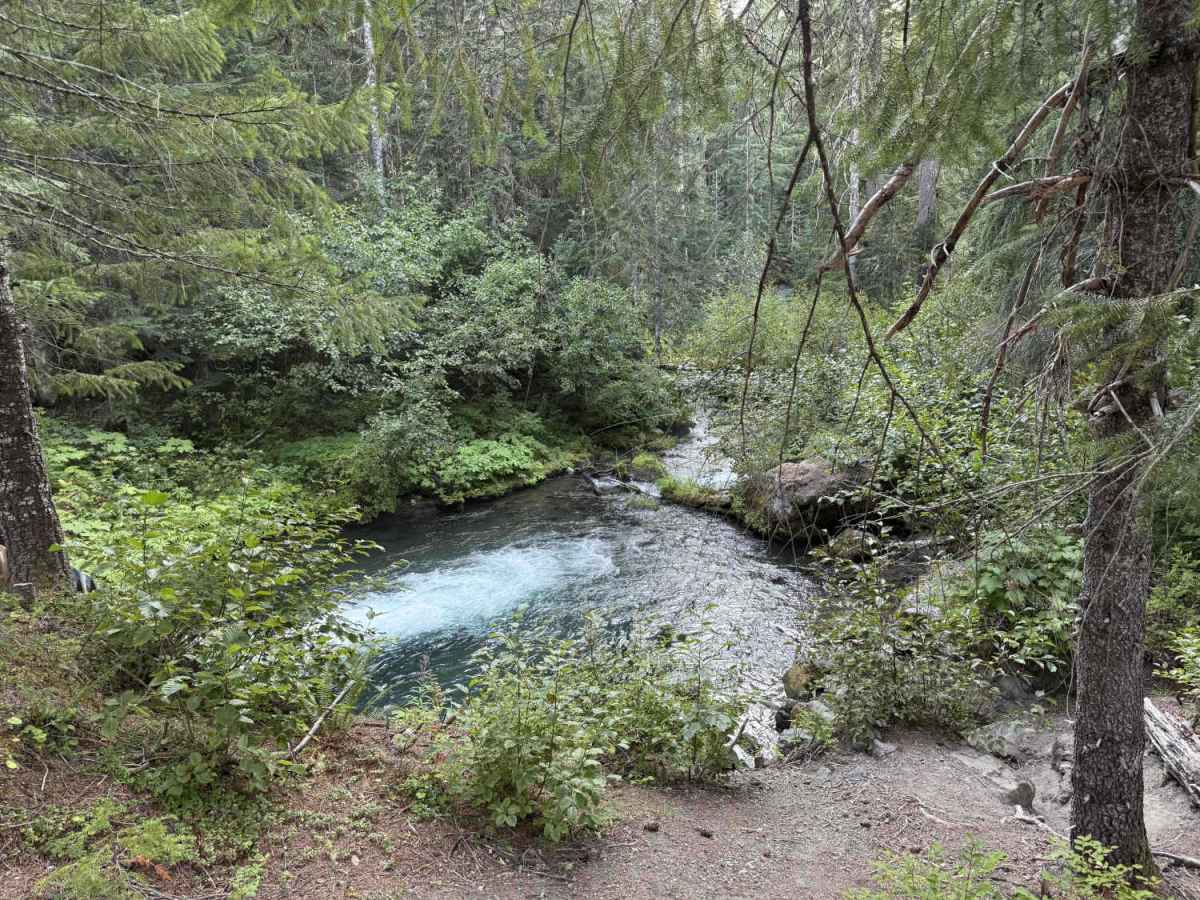 Cougar Creek Road - FS 812200-802200 photo 3