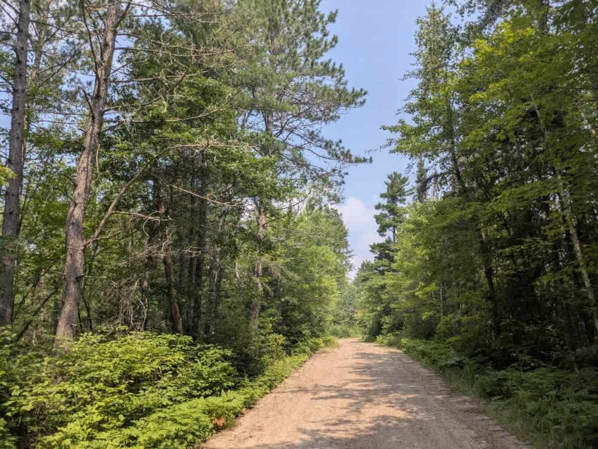 FS 199 trail photo