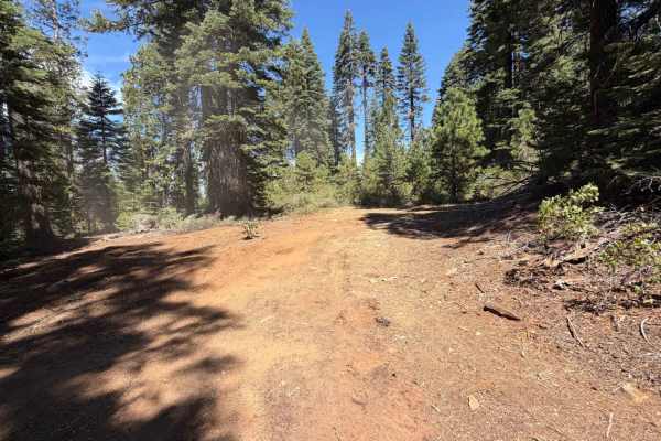 Diamond Creek - FS 20-016