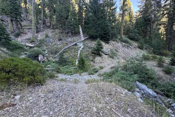 Cooper Meadow - FS 40N76