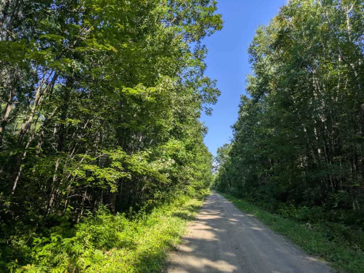2343 trail photo