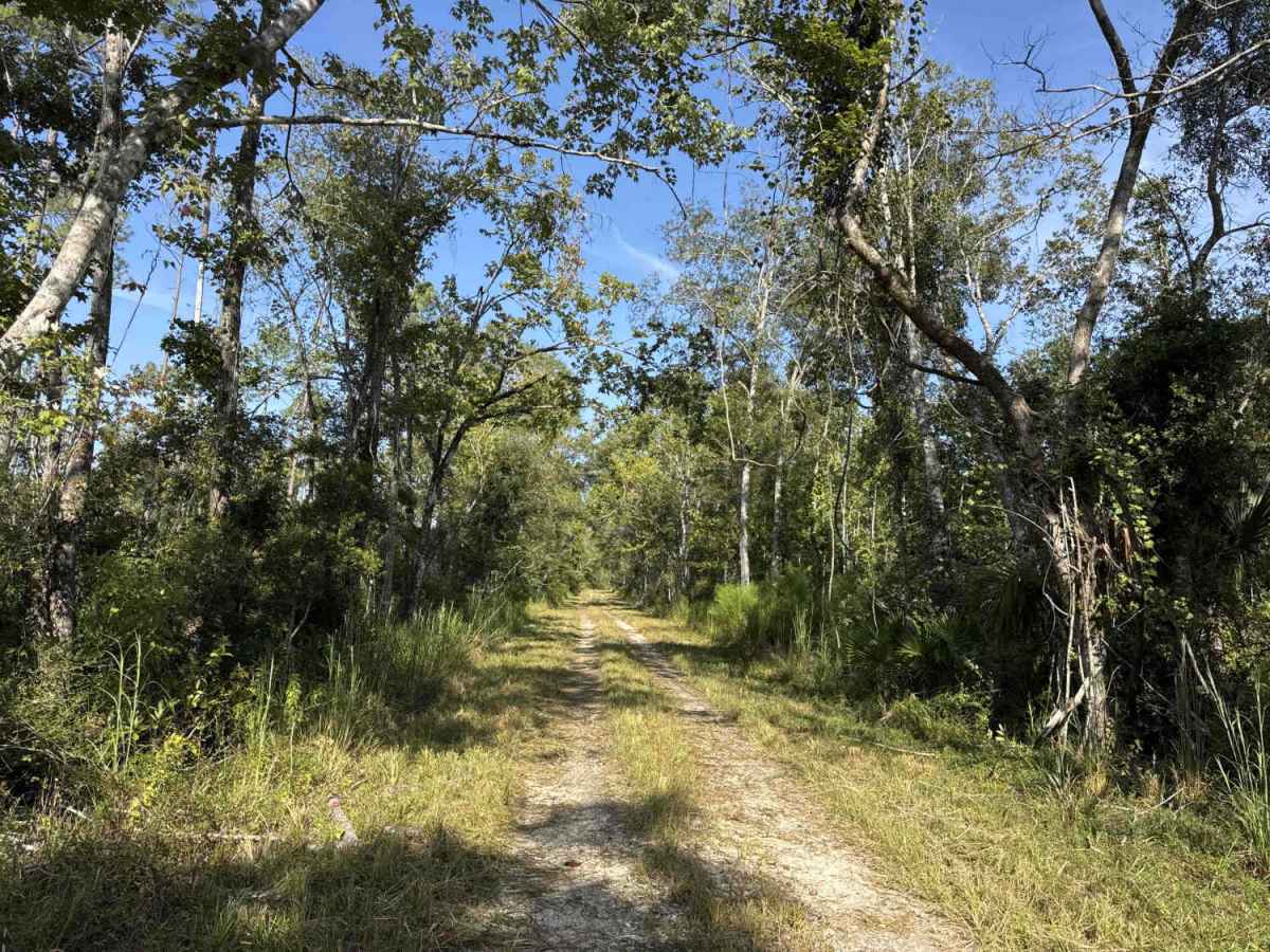 Warbler Loop South photo 6