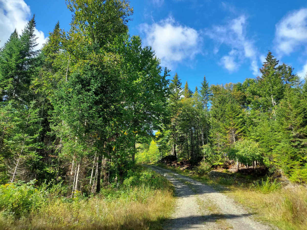West Inlet Road photo 5