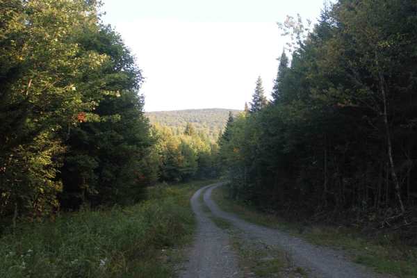 Cozy Brook Road