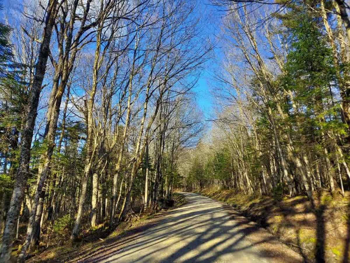 Somerset Trail  photo 4