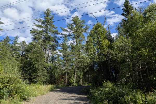 Twin Lakes Road