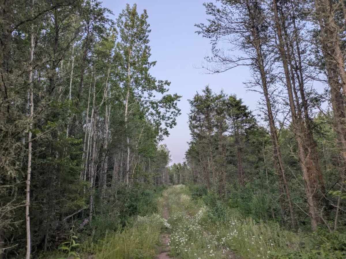 Nester Creek Pit trail photo