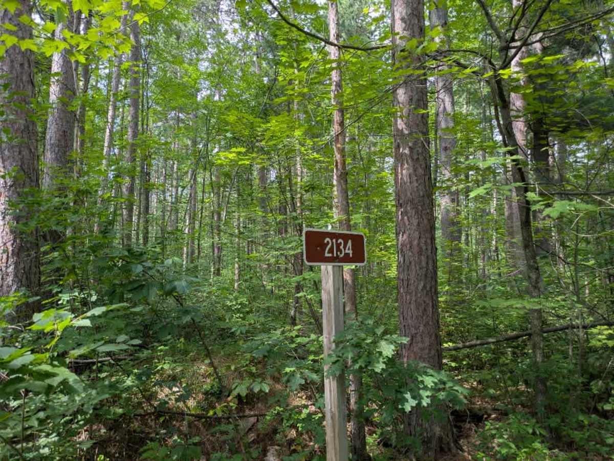 2134 trail photo