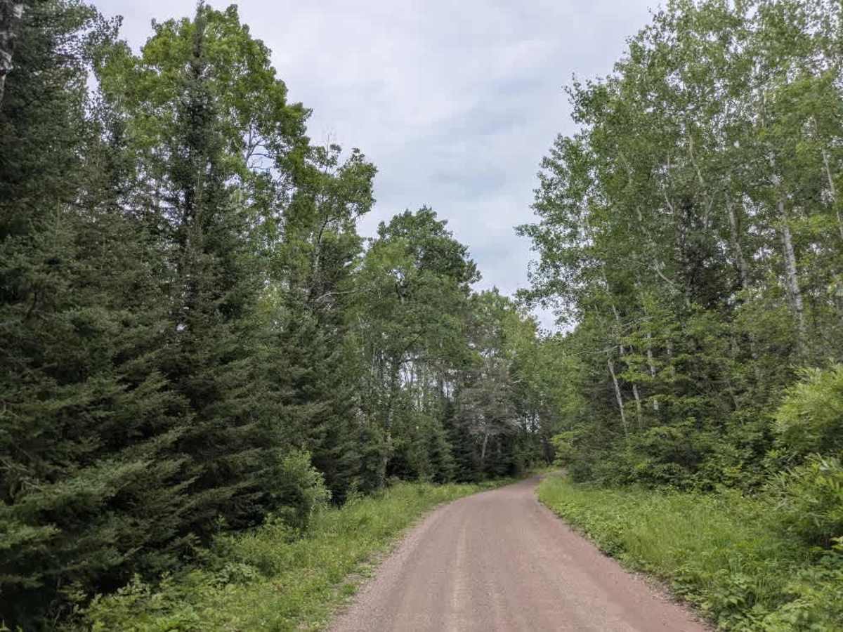 Mud Creek - FS 324 photo 6