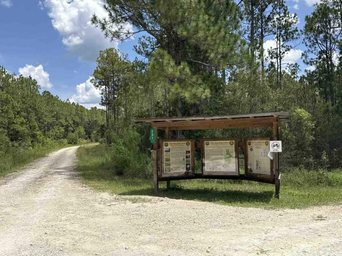 Woody Road Loop photo 2