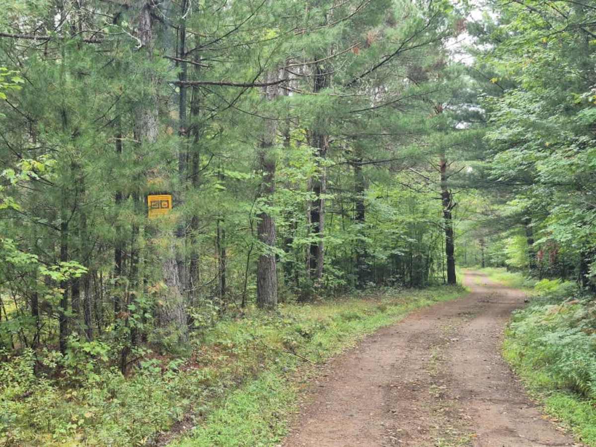 Florence Pond Road photo 6