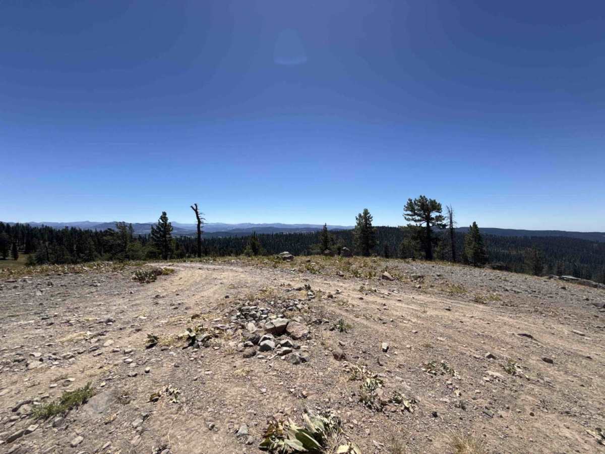 Flagpole Point - FS 7N11D trail photo