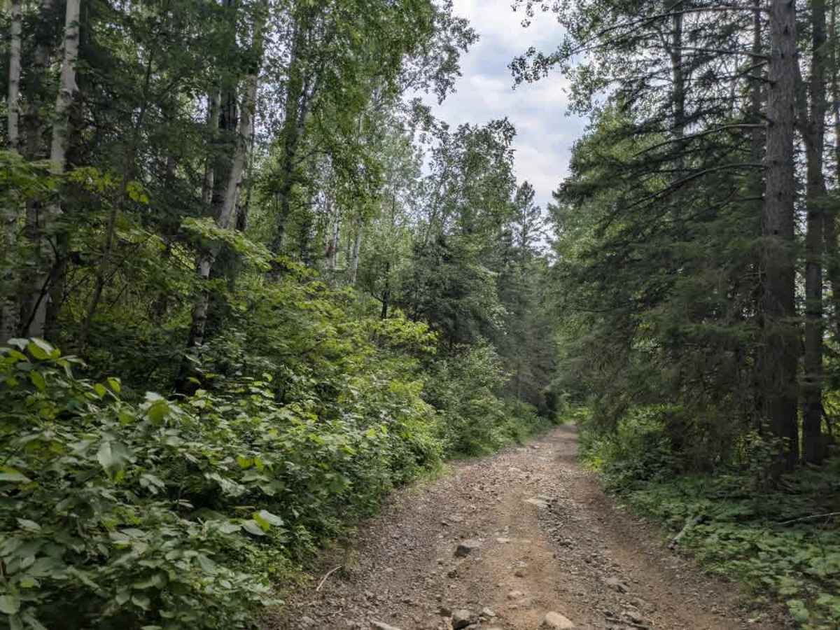 Kelly Lake  trail photo