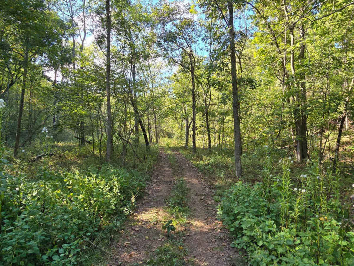 Coffee Crossing trail photo